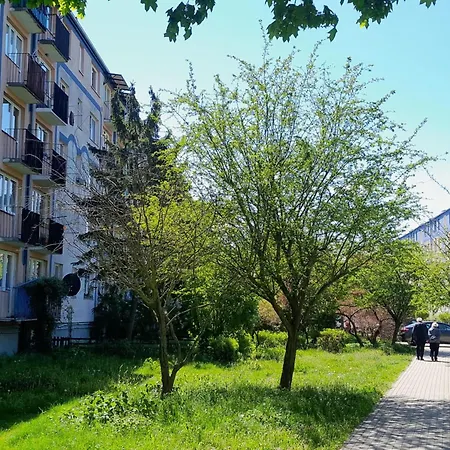 Przymorze